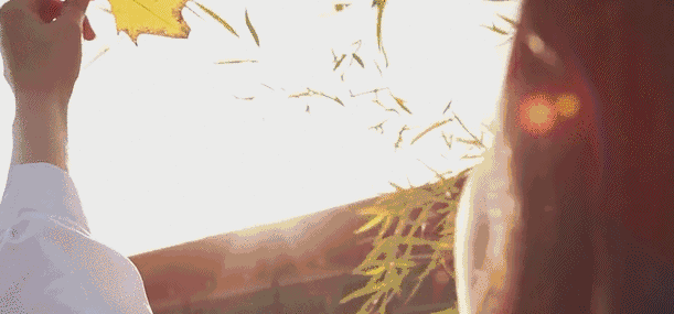 冠南汇侨城玉兰园11月工程进度 鉴证幸福“家”速度！