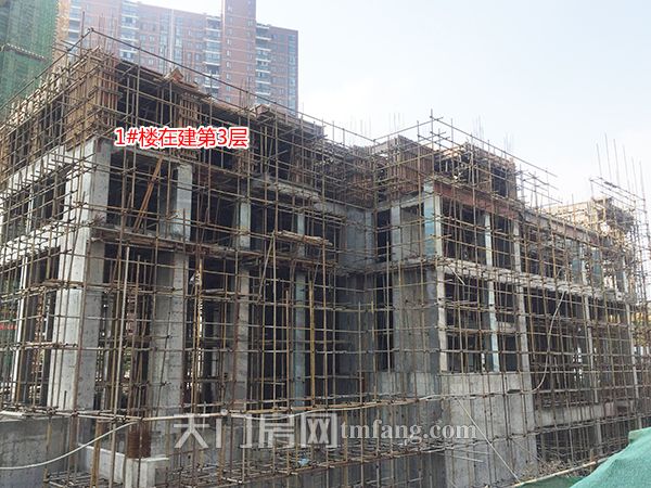 东湖·中央公馆11月工程进度：3#楼建至21层