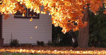 碧水园·长宿11月工程进度：2#楼已经封顶