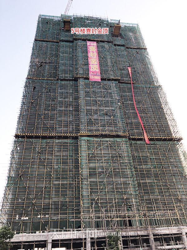 R公馆11月工程进度：5#楼已经喜封金顶