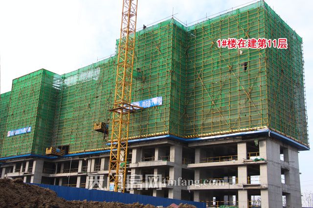 1#楼在建第11层.jpg