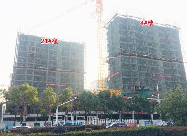 冠南汇侨城1月工程进度：玉兰苑4#21#楼建至16层
