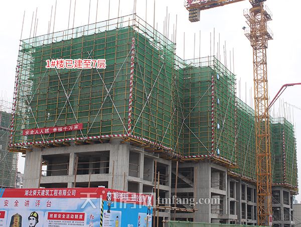 楚天世纪城1月工程进度：精雕细琢 精益求精