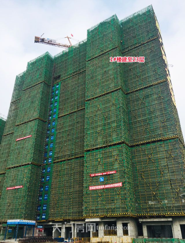 1#楼.jpg