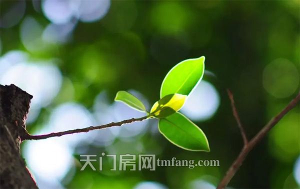 华泰雅苑3月工程进度：工地上正在火热施工中