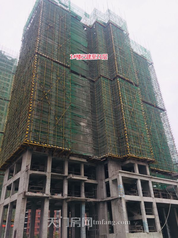 东湖中央公馆3月工程进度：3#楼已建至29层