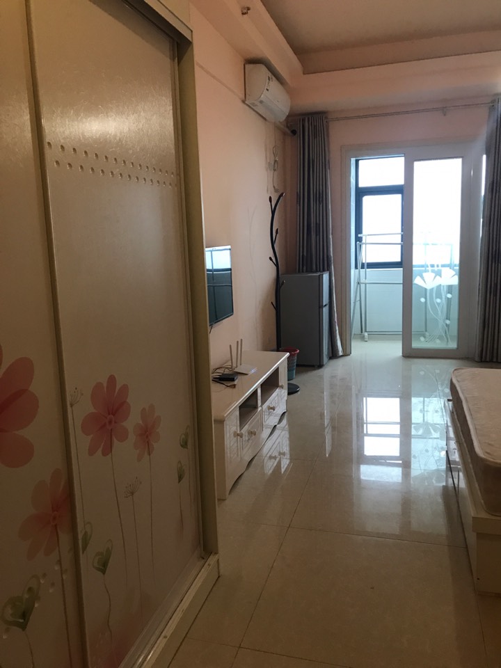 新城国贸CBD45平米公寓房