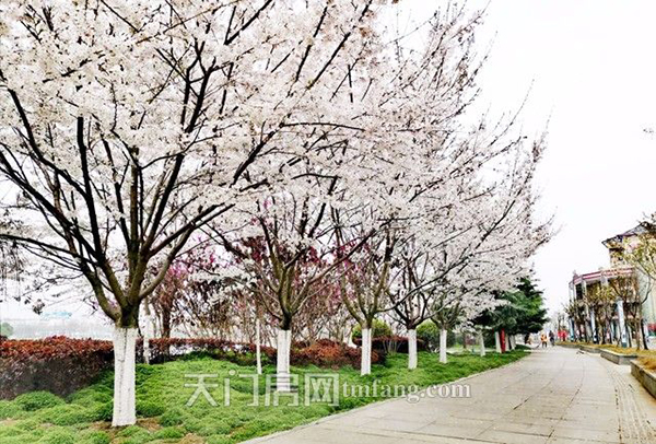 万达广场25日开工典礼 本周天门2盘加推1盘示范区开放