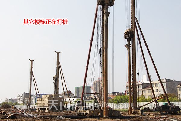 其它楼栋正在打桩.JPG