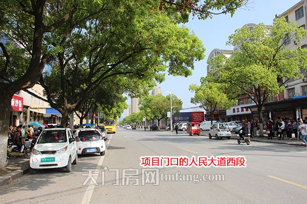 项目门口的人民大道西段.JPG