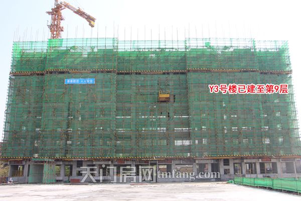 Y3号楼已建至第9层.jpg