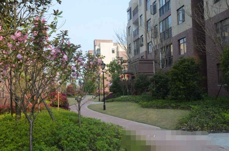 汉旺世纪类别墅毛坯