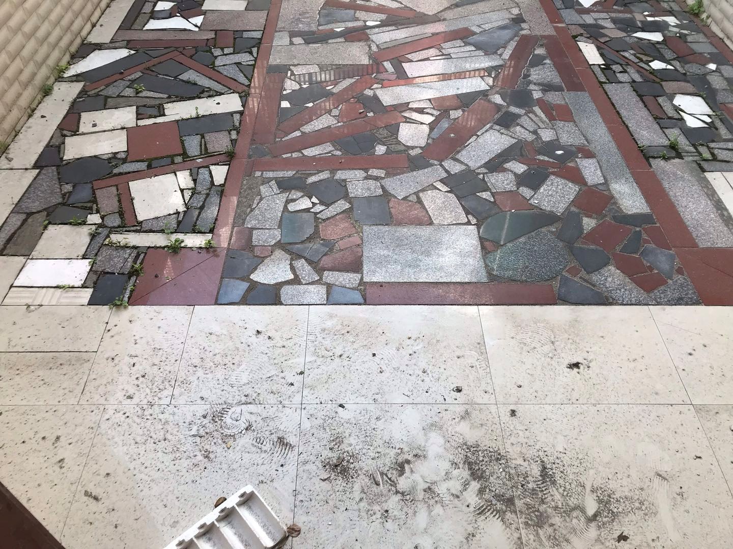 捡漏降价鼎丰花园带院子私房256平89万