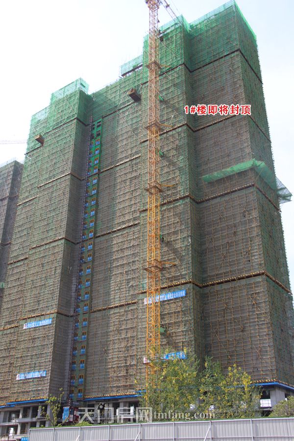 南德荟景湾5月工程进度：1#楼即将喜封金顶