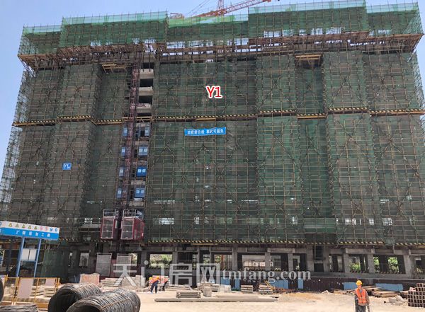 2019051515093413297ijfvem.jpg y1.jpg