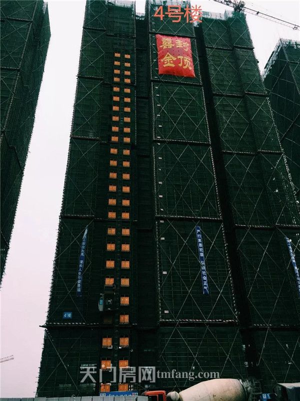 精雕细刻，楚天世纪城 ：3号楼、4号楼荣封金顶！