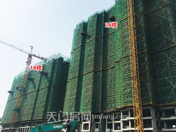 正在火热施工的1#楼和2#楼.jpg