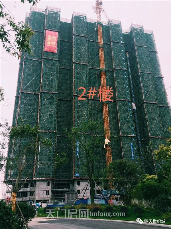 楚天世纪城2号楼主体结构封顶大吉!