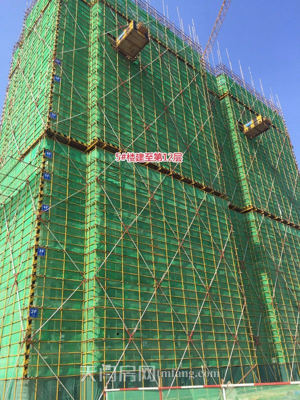 5号楼建至第12层.jpg