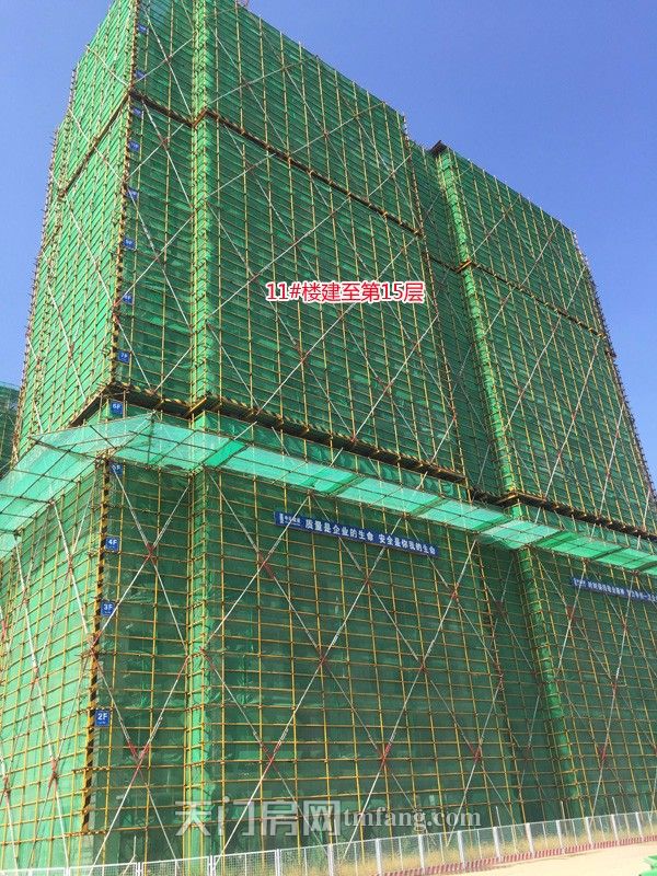 11号楼建至第15层.jpg