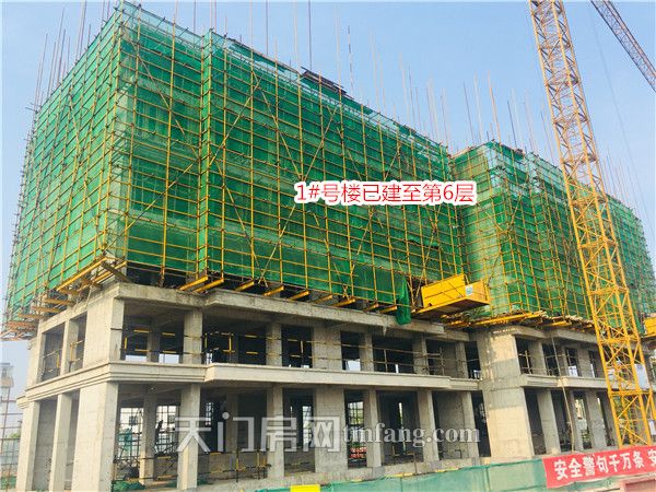1号楼建至第六层.jpg