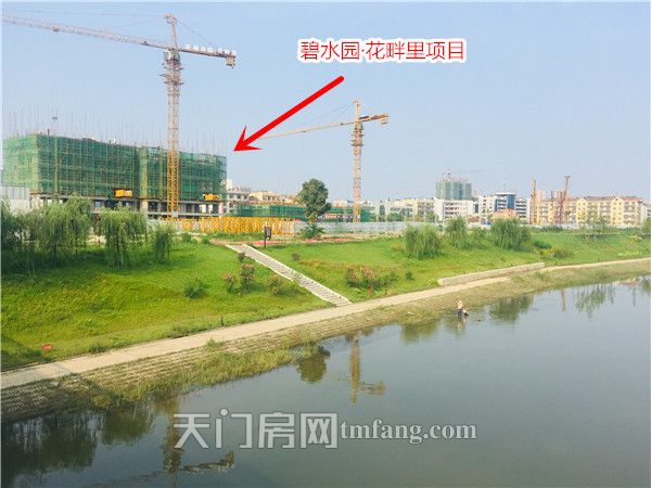 天门河岸旁的碧水园花畔里项目.jpg