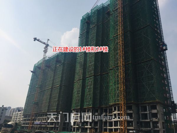 正在建设的1号楼和2号楼.jpg