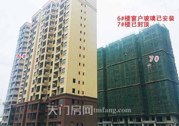 6号楼窗户玻璃已安装、7号楼已封顶.jpg