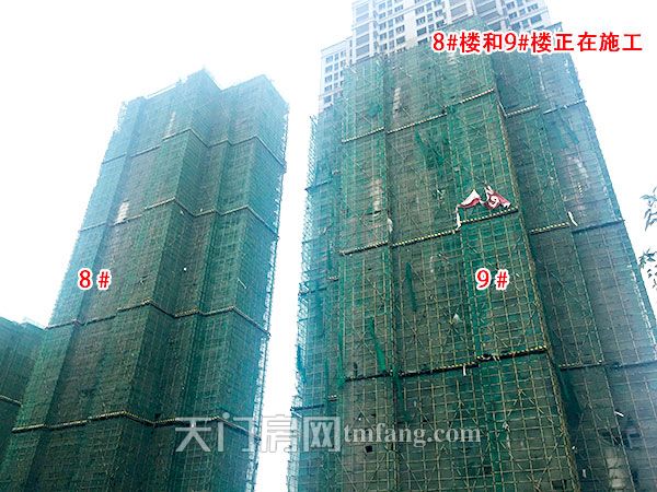 正在施工的8号楼和9号楼.jpg