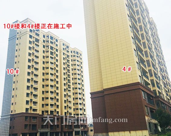 正在施工的10号楼和4号楼.jpg