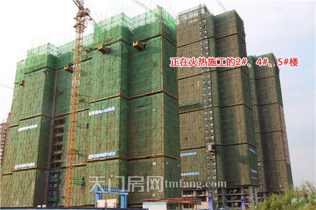 正在火热施工的2#、4#、5#楼.jpg
