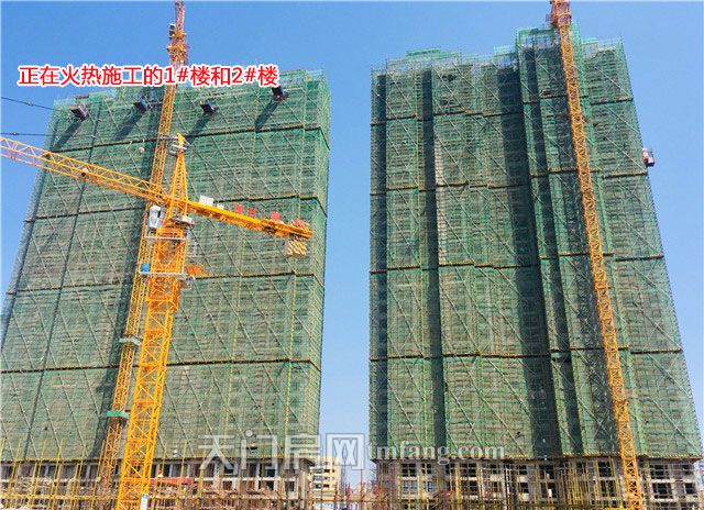 正在火热施工的1号楼和2号楼.jpg