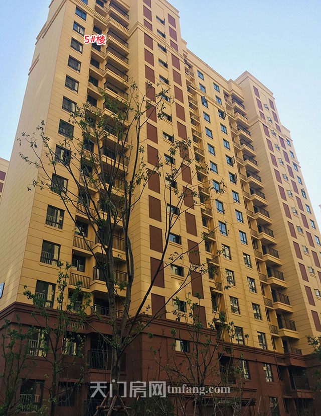 5号楼.jpg