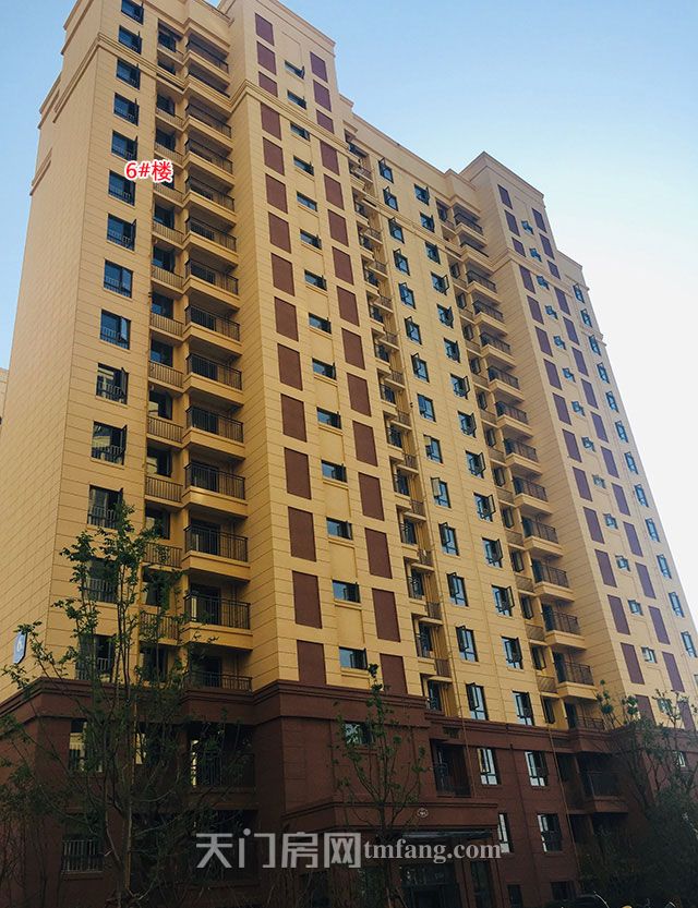 6号楼.jpg