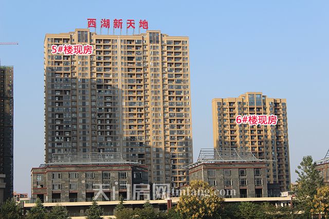 5号楼和6号楼现房.jpg