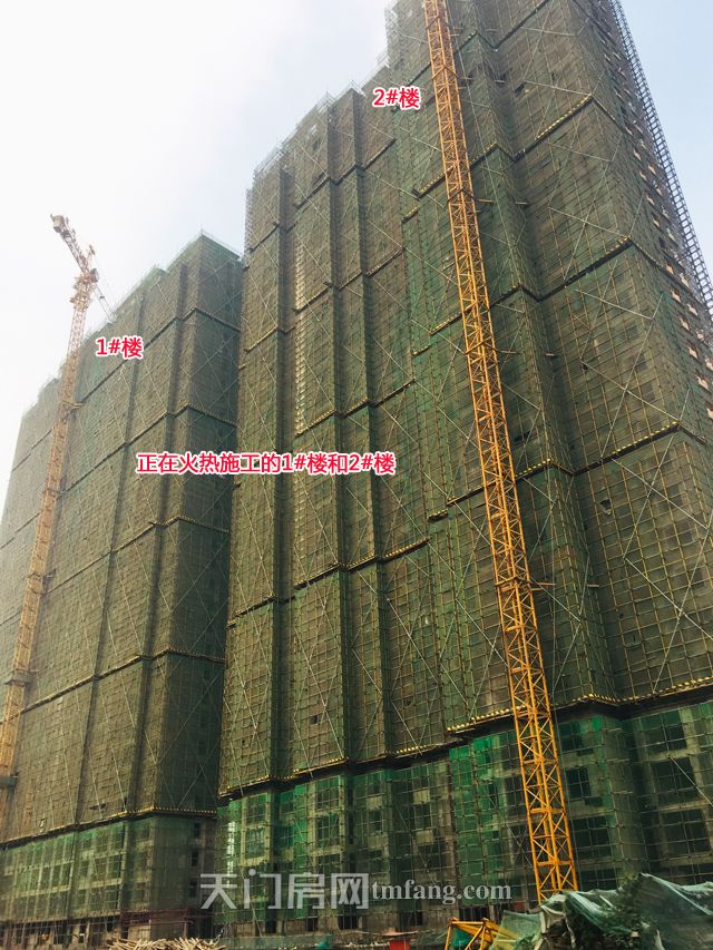 正在火热施工的1号楼和2号楼.jpg