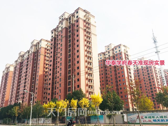 华泰学府春天准现房实景.jpg