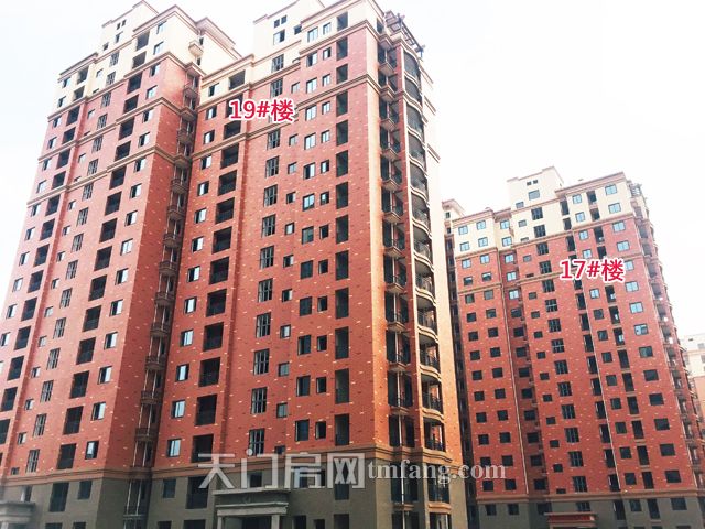 19号楼和17号楼.jpg