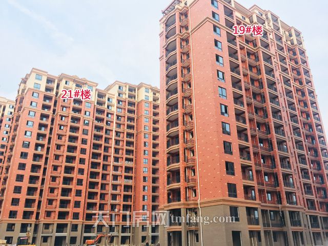 19号楼和21号楼.jpg
