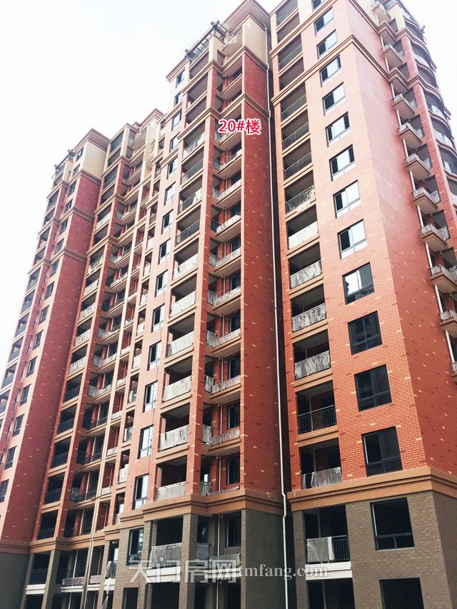 20号楼.jpg