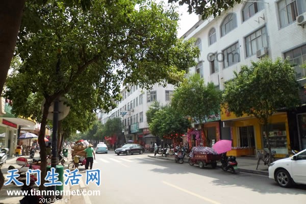 市区幼儿园 旁单元出租