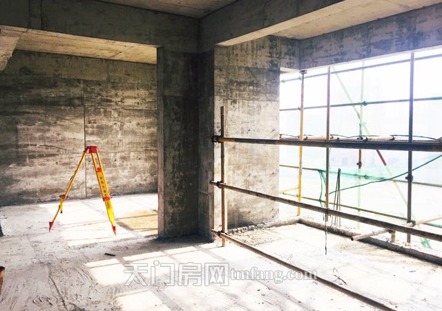 2019120409515541166kowri4.jpg IMG_E9044.jpg