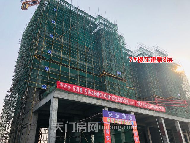 20191209142713977532sksv7.jpg IMG_E0311.jpg