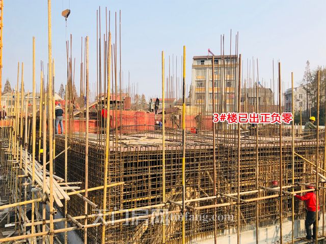 2019120914275344416kkttbr.jpg IMG_E0316.jpg