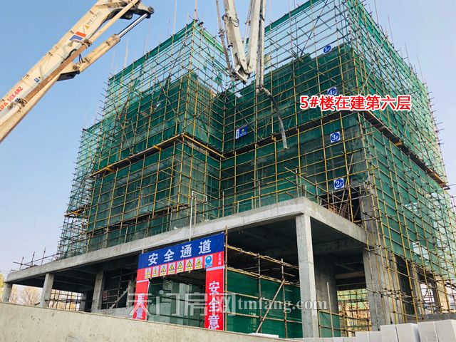 2019120914280041893mjt3ye.jpg IMG_E0312.jpg