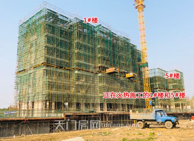 2019120914280669618qezfhl.jpg IMG_E0321.jpg