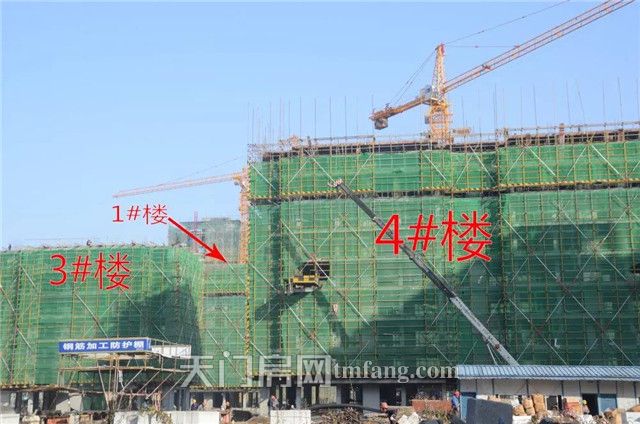 华泰雅苑12月工程进度：家“境”持续焕新