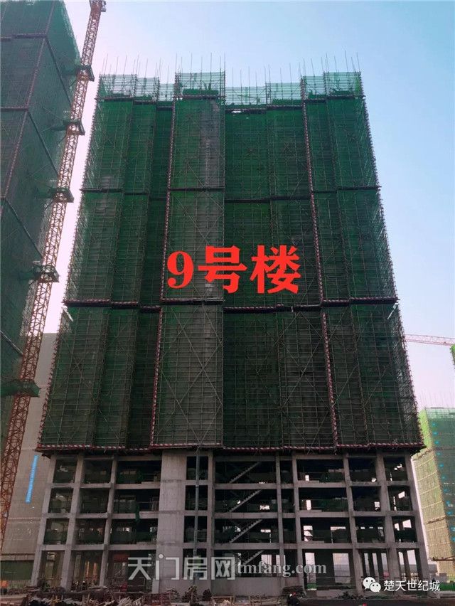 2020010216382720453zmqlcy.jpg 5.jpg