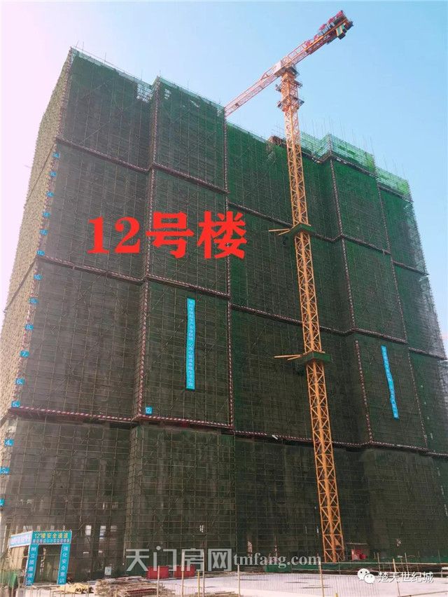 2020010216394950736prwn3m.jpg 8.jpg