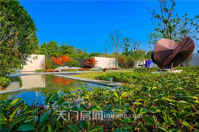 2020041109375888491acieus.jpg 9.webp.jpg